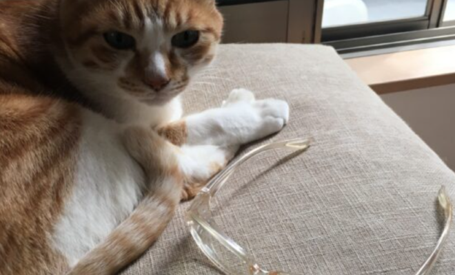 レーシック翌日