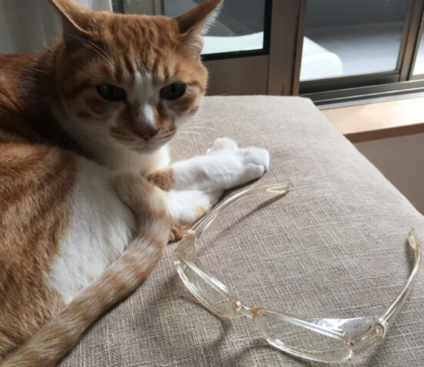 レーシック翌日